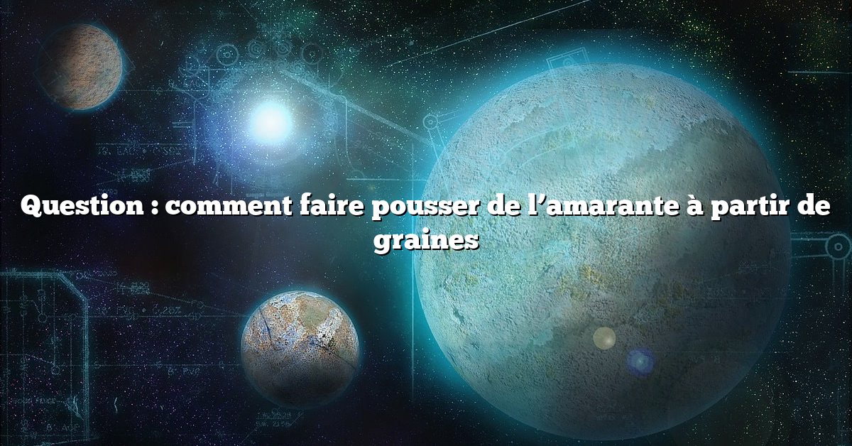 Question : comment faire pousser de l’amarante à partir de graines